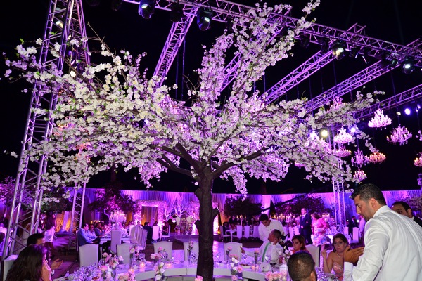 Wedding of Toni Akar